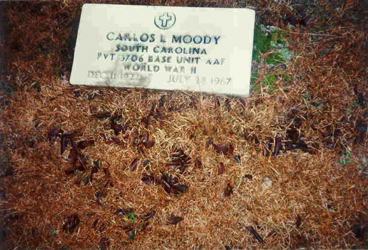 Carlos Lester Moody (1922-1967) gravestone at Bermuda Cemetery, Dillon Co. SC. <br>Source: Jane Mood