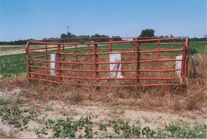 Burial site of Custis Kelly Powell, Nancy Powell Fields and James Fields. The site is on the old Pow