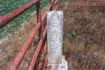 Custis Kelly (C.C.) Powell (11 Jun 1862 - 12 Feb 1925) gravestone at burial site on the old Powell f