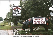 Dew-Radd-BBQ-2.jpg