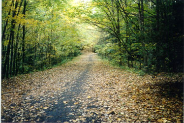 Trail photo